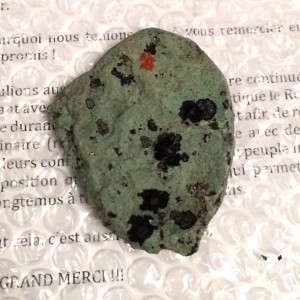 caillou-vivant.jpg (99.62 Kio) Consulté 10035 fois Caillou vivant